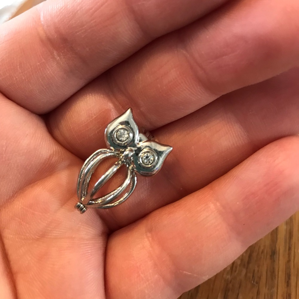 Pearl cage—Owl